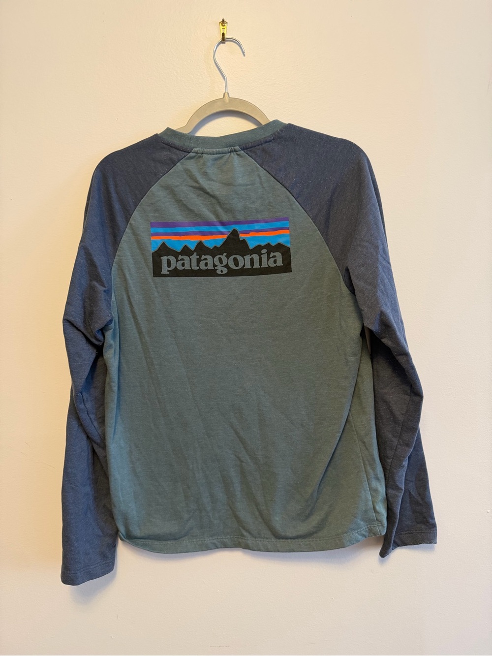 Patagonia Long-Sleeve Raglan Tee in Green and Navy with Graphic Logo